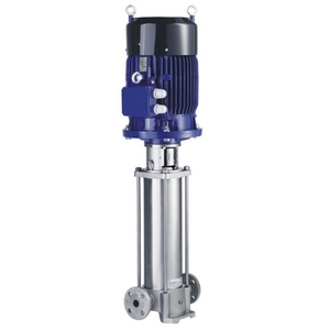 Вертикальные многоступенчатые насосы DP-Pumps (Нидерланды) Со встроенным обратным клапаном DPVE